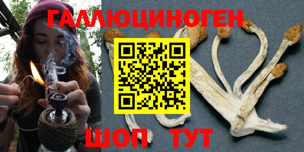 Карпинск  Галлюциногенные грибы мухоморы  Вход с VPN 